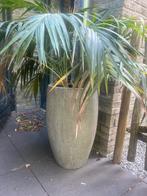 Grote pot voor plant, binnen of buiten, Tuin en Terras, Bloempotten, Steen, Gebruikt, Rond, Binnen