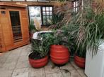 Bloembakken gemaakt van ton in terracotta kleur, Ophalen, Zomer, Overige soorten, Volle zon