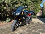 Triumph Daytona 675 SE, 675 cc, 3 cilinders, Meer dan 35 kW, Sport