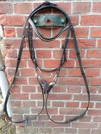 Hoofdstel qhp, Ophalen of Verzenden, Zo goed als nieuw, Dressuur