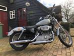 Harley-Davidson Sportster 883  XL 53 C Custom, Motoren, Motoren | Harley-Davidson, Particulier, 2 cilinders, 883 cc, Chopper