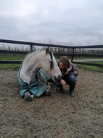 Mentale training voor paarden, Paardrijles of Ponykampen