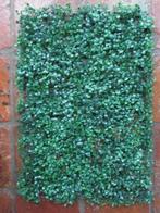 BUXUS KUNST PLAAT, Ophalen of Verzenden, Nieuw