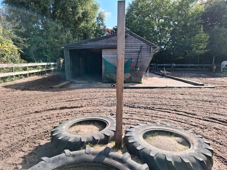 Plekje vrij voor ruin, Dieren en Toebehoren, Stalling en Weidegang