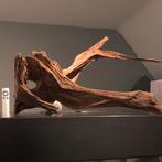 Enorm stuk Kienhout / Driftwood / Spiderwood, Hout Decoratie, Ophalen of Verzenden, Zo goed als nieuw, Plant(en), Steen of Hout