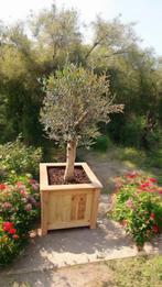 Plantenbakken op maat! GEEN SCHROEVEN ZICHTBAAR!, Vierkant, Nieuw, Ophalen of Verzenden, 60 tot 100 cm