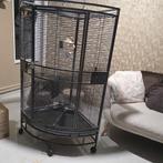 Papegaaien kooi, Dieren en Toebehoren, Vogels | Hokken en Kooien, Ophalen of Verzenden, Metaal, Vogelkooi