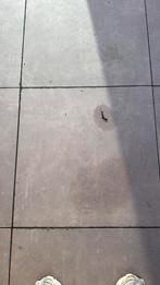 Tegels 60x60, Tuin en Terras, Tuintafels, Ophalen, Zo goed als nieuw, Rechthoekig, Wicker