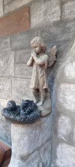 Grafengel, Ophalen of Verzenden, Dier