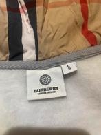 Burberry Vest Maat L (valt als M) - Nieuw, Kleding | Heren, Truien en Vesten, Maat 52/54 (L), Nieuw, Ophalen of Verzenden, Grijs