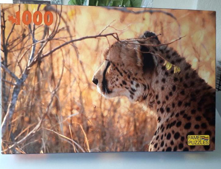 Legpuzzel 1000 stukjes, Hobby en Vrije tijd, Denksport en Puzzels, Zo goed als nieuw, Legpuzzel, 500 t/m 1500 stukjes, Ophalen