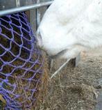 Visnet voor slowfeeder, Info@alletouw.nl, Nieuw, Ophalen of Verzenden, Trekwei 13