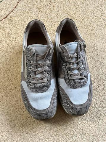 Nimco Sharon Lace schoenen wijdte K maat 7 5 Schoenen