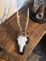 Ree Gewei op Schild, Ophalen of Verzenden