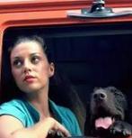 Transport tv serie 1983 3 dvd compleet Millecam Hoffman, Cd's en Dvd's, Dvd's | Tv en Series, Ophalen of Verzenden, Zo goed als nieuw