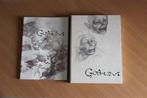 Lord of the Rings Gollum dvd met artwork boek, Cd's en Dvd's, Dvd's | Documentaire en Educatief, Overige typen, Gebruikt, Ophalen of Verzenden