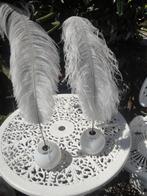 div verenboompjes, Ophalen of Verzenden, Nieuw, Binnen