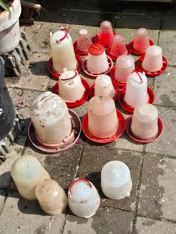 Voerbakken en drinktorens voor pluimvee beschikbaar voor biedingen