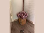 Hortensia takken prijs per stuk!, Ophalen of Verzenden, Zo goed als nieuw