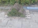 Gratis gras, Tuin en Terras, Gras en Kunstgras, Ophalen, Nieuw, Minder dan 10 m², Gras