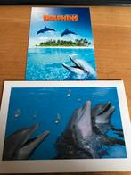 Dolfijnen, Ophalen of Verzenden, Voor 1920, Ongelopen, Paard