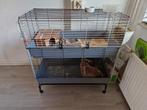 Cavia flat op standaard 1 meter., Dieren en Toebehoren, Knaagdieren en Konijnen | Hokken en Kooien, Ophalen, 90 cm of meer, Hok
