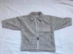Vroom & Dreesmann Jasje Maat 80, Ophalen of Verzenden, Zo goed als nieuw, Jongetje of Meisje, Jasje