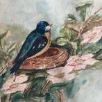 Aquarel met vogel *tres jolie Duiven*, Verzenden