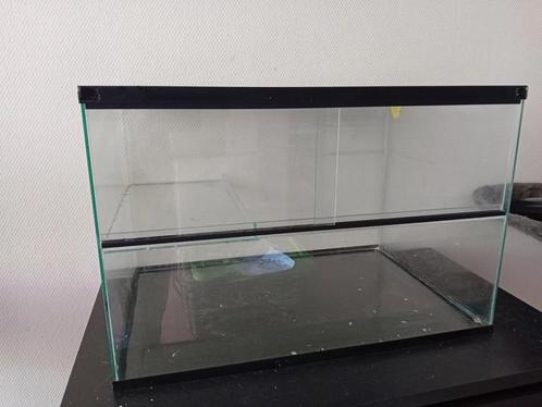 Knaagdierverblijf, Dieren en Toebehoren, Knaagdieren en Konijnen | Hokken en Kooien, Gebruikt, Kooi, Minder dan 60 cm, Minder dan 75 cm