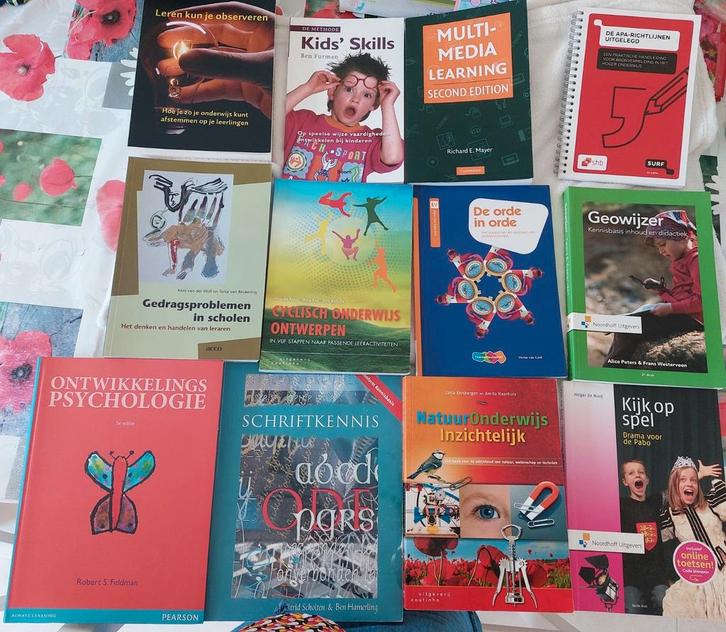 PABO studieboeken. Doe een goed bod en ze zijn voor jou., Boeken, Studieboeken en Cursussen, Zo goed als nieuw, HBO, Ophalen of Verzenden