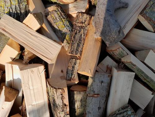 Wilgenhout, Tuin en Terras, Haardhout, Blokken, Overige houtsoorten, 6 m³ of meer, Ophalen