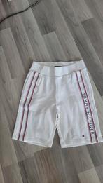 Tommy Hilfiger maat S, Ophalen of Verzenden, Nieuw