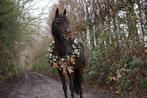 Kerstkrans paard  huren, Ophalen, Nieuw