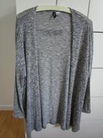 H&M Divided - grijs gemeleerd vest maat L, Kleding | Dames, H&M, Maat 42/44 (L), Ophalen of Verzenden, Zo goed als nieuw