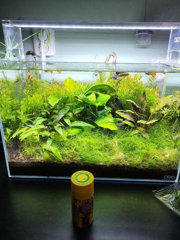 Nano Aqaurium met Ada Design Amano, Oase Biomaster beschikbaar voor biedingen