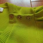 Fabienne Chapot Groene Trui - XL valt kleiner 42 40, Maat 42/44 (L), Ophalen of Verzenden, Zo goed als nieuw, Fabienne Chapot