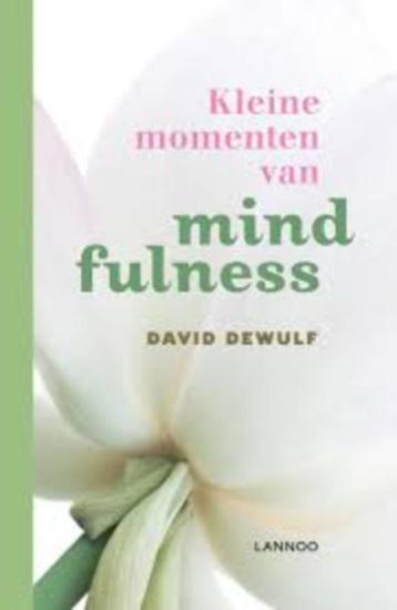 Kleine momenten van mindfulness David Dewulf 9789020942101 beschikbaar voor biedingen