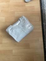 Trui In Gold We Trust - Maat M, Kleding | Dames, Ophalen of Verzenden, Zo goed als nieuw, Maat 38/40 (M), Grijs