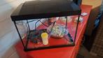Vissenkom met zuurstofpompje 36 x 23 x 30 cm, Dieren en Toebehoren, Vissen | Aquaria en Toebehoren, Ophalen, Zo goed als nieuw