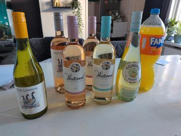 Wijn over van feestje af te halen in Winsum gr beschikbaar voor biedingen