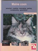 Maine coon  kattenrassen, Boeken, Nieuw, Ophalen of Verzenden, Katten