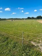 Stalling beschikbaar in hierden, Weidegang