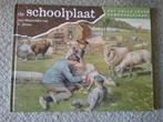 De schoolplaat - zomerhalfjaar / C Jetses (2004), Boeken, Prentenboek, Ophalen of Verzenden, Zo goed als nieuw