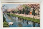 Alphen aan de Rijn, Avifauna, Verzamelen, Ophalen of Verzenden, 1940 tot 1960, Gelopen, Zuid-Holland