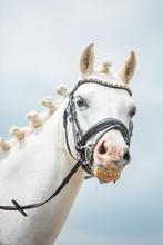 Veelzijdige lieve c pony, Dieren en Toebehoren, Pony's, Merrie, L, C pony (1.27m tot 1.37m), 11 jaar of ouder