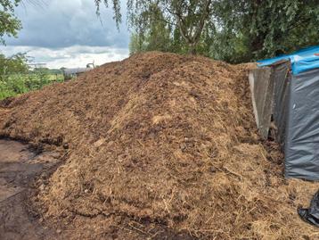 Gratis paardenmest Naarden beschikbaar voor biedingen