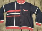 Vintage vest heren Gio Ferrari Mooie Nette trui Maat L, Maat 52/54 (L), Verzenden, Gio Ferrari, Zo goed als nieuw