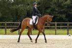 Instructie aangeboden, Dieren en Toebehoren, Ophalen of Verzenden, Nieuw, Dressuur