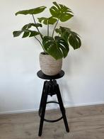 Kruk plantentafel zuil standaard plant zwart hout metaal, Ophalen of Verzenden, Zo goed als nieuw