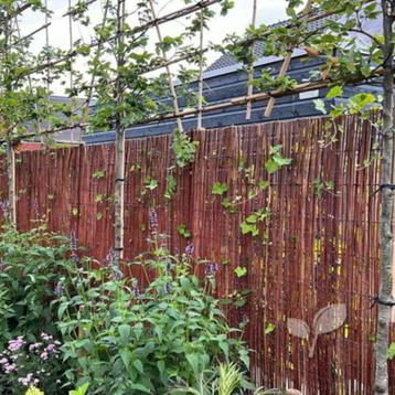 Wilgenmat op rol 2 meter hoog/3 meter lang!! beschikbaar voor biedingen